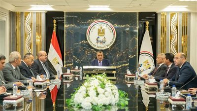 وزير الدولة للإنتاج الحربي يبحث مع «حماة الوطن» أوجه التعاون 