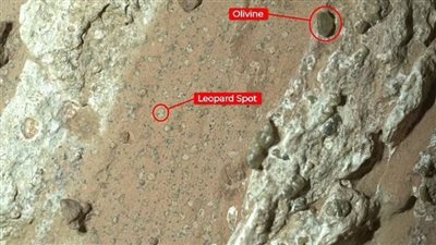 ناسا تكتشف أول علامات الحياة على كوكب المريخ