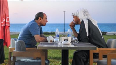  تفاصيل تفقد السيسي وابن زايد مدينة العلمين الجديدة