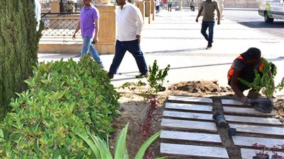 محافظ الأقصر يتابع أعمال المبادرة الرئاسية لزراعة 100 مليون شجرة 