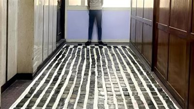 الداخلية: ضبط عنصرين إجراميين بحوزتهما مخدرات بقيمة 5.5 مليون جنيه بالإسكندرية