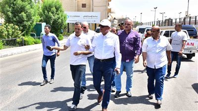 محافظ الأقصر يوجه بتكثيف أعمال التشجير وتجليد قواعد الأكشاك الكهربائية في الأقصر