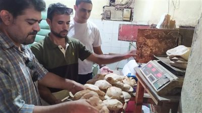 حملة مفاجئة على مخابز 7 قرى بمركز زفتى وراء كشف مخالفات بالجملة