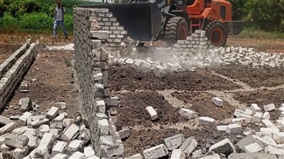 حملات مكبرة لإزالة التعديات على الأراضى الزراعية بالأقصر