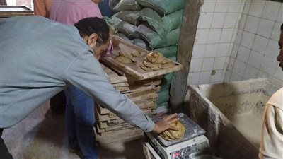 حملة مفاجئة على المخابز البلدية بزفتى والسنطة فى الغربية
