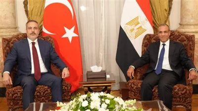 وزيرا خارجية مصر وتركيا يبحثان جهود خفض التصعيد بالمنطقة