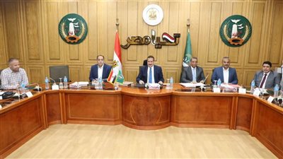 برئاسة أبو ليمون.. قرارات هامة للمجلس التنفيذي بمحافظة المنوفية تعرف عليها