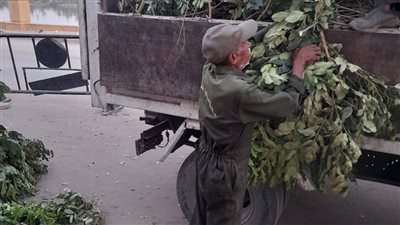 شن حملة مكثفة لرفع المخلفات وتمهيد الطرق بمدينة أرمنت غرب الأقصر 