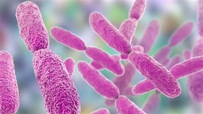 بكتيريا خارقة 