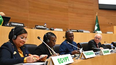  الصحة تدعو الدول الأفريقية للاستفادة من مبادرة الألف يوم الذهبية 