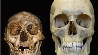 اكتشاف أثري في الصين قد يُعيد صياغة التاريخ البشري