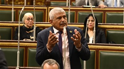 برلماني: قرارات العفو الرئاسي تؤكد مدى تطبيق الاستراتيجية الوطنية لحقوق الإنسان