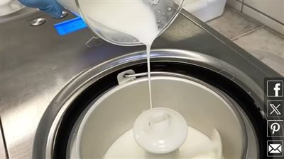 دراسة جديدة: الآيس كريم المصنوع من حليب الحصان مفيدًا لأمعائك