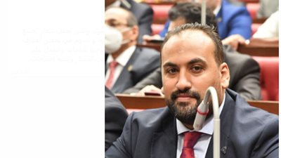 النائب محمد الرشيدي يكشف عن أهمية توجيهات «السيسي» بحل أزمات المصانع المتعثرة