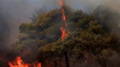 أرقام قياسية لعدد ضحايا موجة الحر في أوروبا