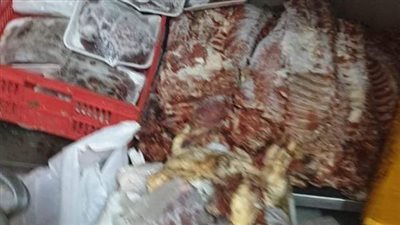 ضبط 14طن لحوم دواجن فاسدة بالعجوزة والهرم والشيخ زايد وأكتوبر 