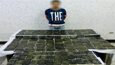 ضبط 23 كجم حشيش بقيمة 2 مليون جنيه قبل ترويجها في الغربية