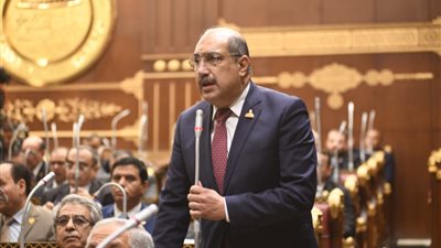 «برلماني» يكشف عن رؤية شاملة بشأن حل أزمة نقص الأدوية في سوق الدواء المصرية