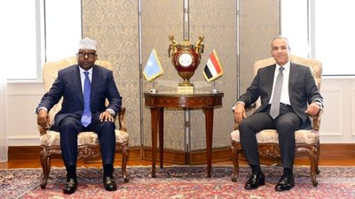 جلسة مباحثات ثنائية موسعة بين وزير الخارجية ونظيره الصومالي (تفاصيل)