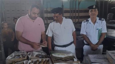 ضبط 10 أطنان من الدواجن واللحوم والرنجة الفاسدة بالغربية 