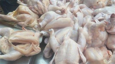 بحملة تفتيشية موسعة.. تفاصيل ضبط دواجن وأسماك فاسدة بشبين الكوم