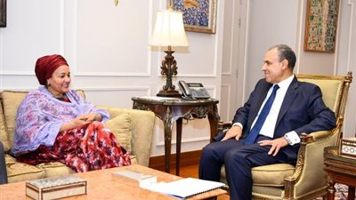 وزير الخارجية: مصر تولي أهمية للمساهمة بفعالية في مواجهة التحديات المشتركة