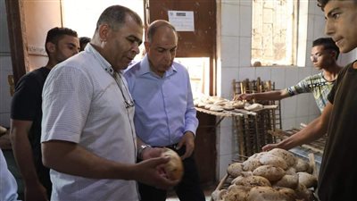 ضبط ومصادرة 3 أطنان سماد ونصف طن أعلاف دون فواتير بالمنيا 