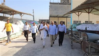 «الكدواني»: وردنا 430 ألف طن من المحصول الاستراتيجى بالمنيا ‎