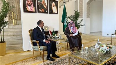 وزير الخارجية ونظيره السعودي يناقشان سبل التوصل إلى وقف إطلاق النار في غزة 
