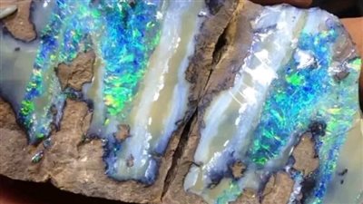  اتحاد الجيولوجين العرب يحذر من خطورة إلغاء مادة الجيولوجيا وعلوم البيئة 