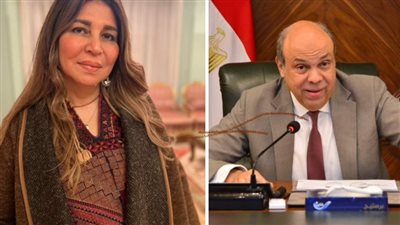 رئيسة جمعية مهندسي الطائرات تبحث مع «الحفني» آلية ضمان أجور عادلة لمهندسي الصيانة والأعمال الفنية