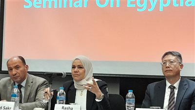 «الضرائب»: مصر تسعى لجذب المزيد من الاستثمارات الصينية(صور)