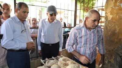 محافظ المنيا يقود حملة تموينية مكبرة بمركز مطاي