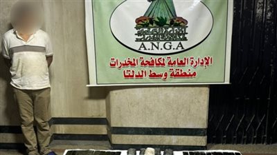 صفقة بـ1.7 مليون جنيه.. إحباط ترويج كمية كبيرة من الحشيش بالغربية