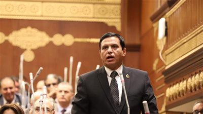 أمين عام حماة الوطن: إحالة توصيات الحوار الوطنى للحكومة تعزز حقوق الإنسان