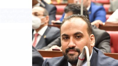 «برلماني»: القيادة المصرية حريصة على تطبيق العدالة الناجزة في شتى المجالات والملفات