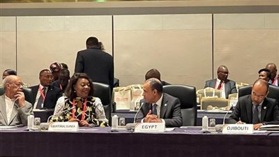 وزير الخارجية يؤكد دعم مصر لإعادة الإعمار والتنمية في إفريقيا