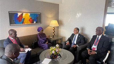 تفاصيل لقاء وزير الخارجية مع نظيرته السنغالية