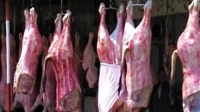 القبض على جزارين يذبحون الماشية النافقة ويبيعونها في أسواق الأقصر 