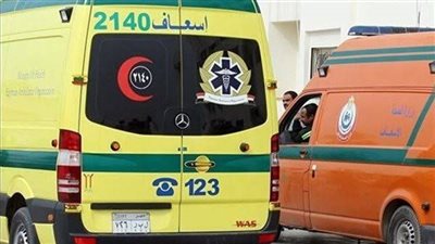 مصرع طفلة صدمتها سيارة مسرعة أثناء عبورها الطريق في الأقصر 