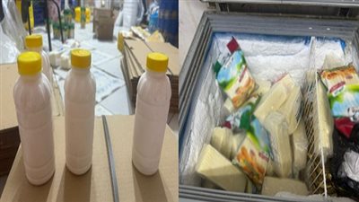 ضبط مصنع لتعبئة الجبنة منتهية الصلاحية وترويجها في دار السلام