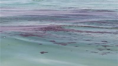 بقعة زيت عائمة تتسبب في توقف محطات مياه الشرب في الأقصر 