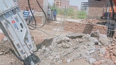 مدينة أرمنت تشن حملة موسعة لإزالة التعديات على الأراضي الزراعية غرب الأقصر 