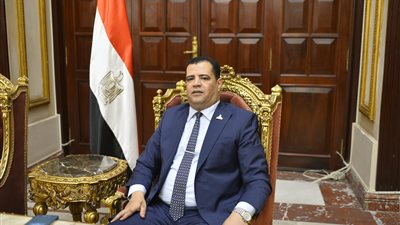 برلماني: الأمن القومي المصري خط أحمر وموقف مصر ثابت وداعم للقضية الفلسطينية 