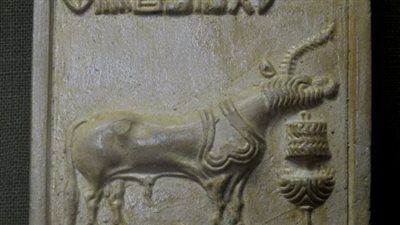 ما حقيقة حصان يوني كورن الأسطوري؟