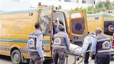 بالأسماء.. إصابة 7 أفراد من أسرة واحدة بالتسمم جنوب الأقصر 