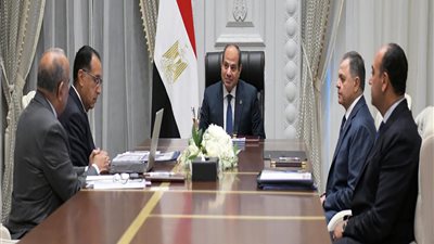 الرئيس السيسي يبحث سبل التصدي لسرقة الكهرباء