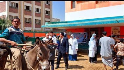 إدارة بنها الصحية تتصدر مبادرات «100 مليون صحة» بـ14 ألف خدمة خلال أسبوعين