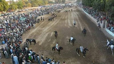أهالي الأقصر يحتفلون بالمولد النبوي بأكبر تجمع لسباق الخيول (صور)