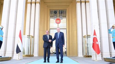 أردوغان: اتفقنا مع السيسي على إقامة مشاورات منتظمة لحل القضايا الإقليمية 